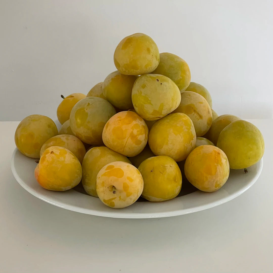 Zeytinyağı ile Geleneksel Lezzetler Sofralarınıza Şölen