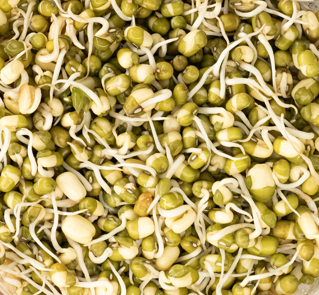 Lezzetli Zeytinyağı ile Vegan Tarifler