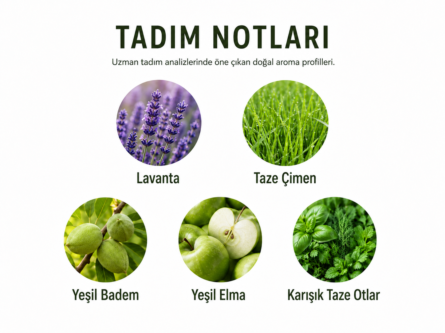 Lavanta Çeşnili Zeytinyağı 250 ml