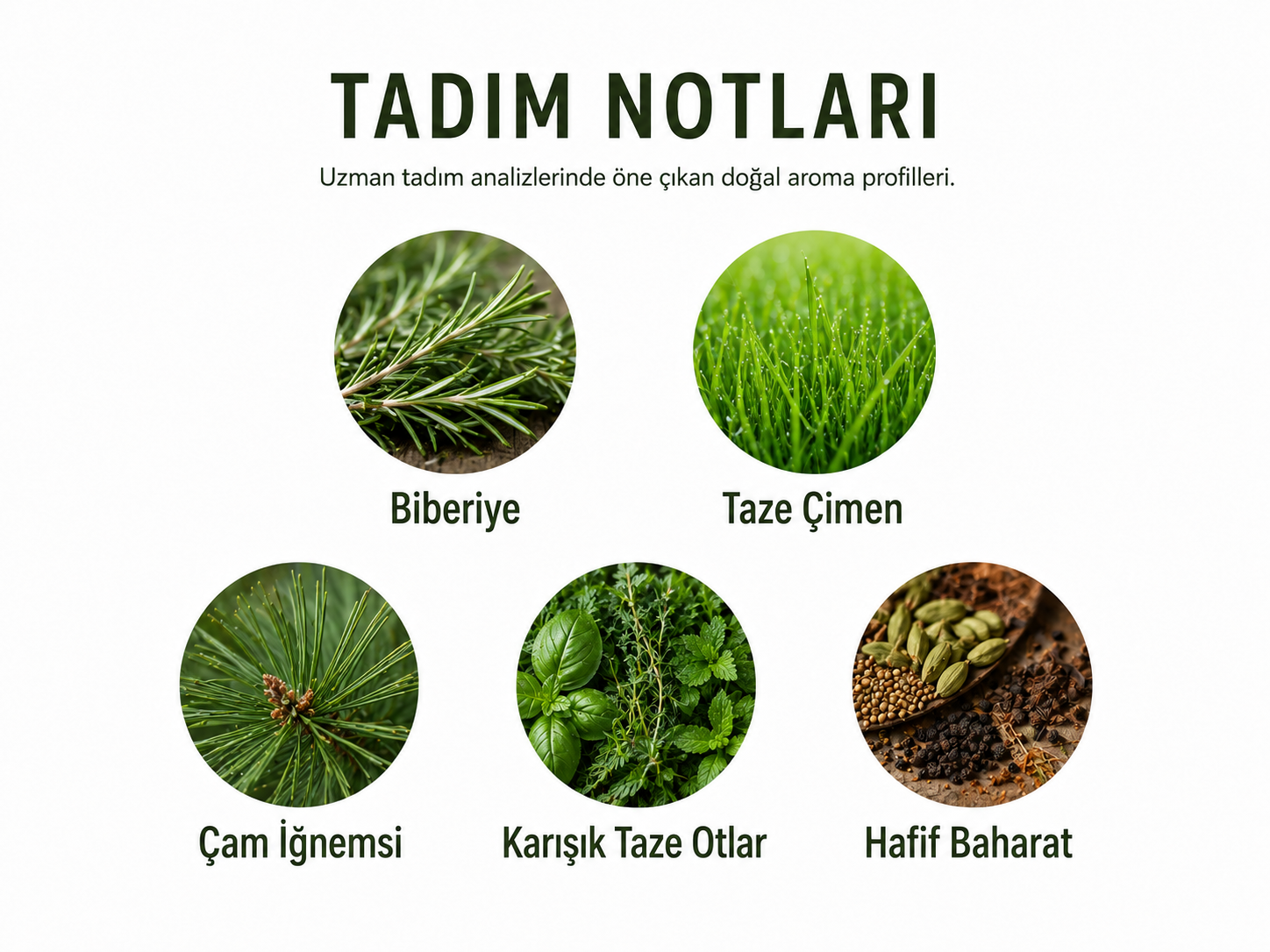 Biberiye Çeşnili Zeytinyağı 250 ml