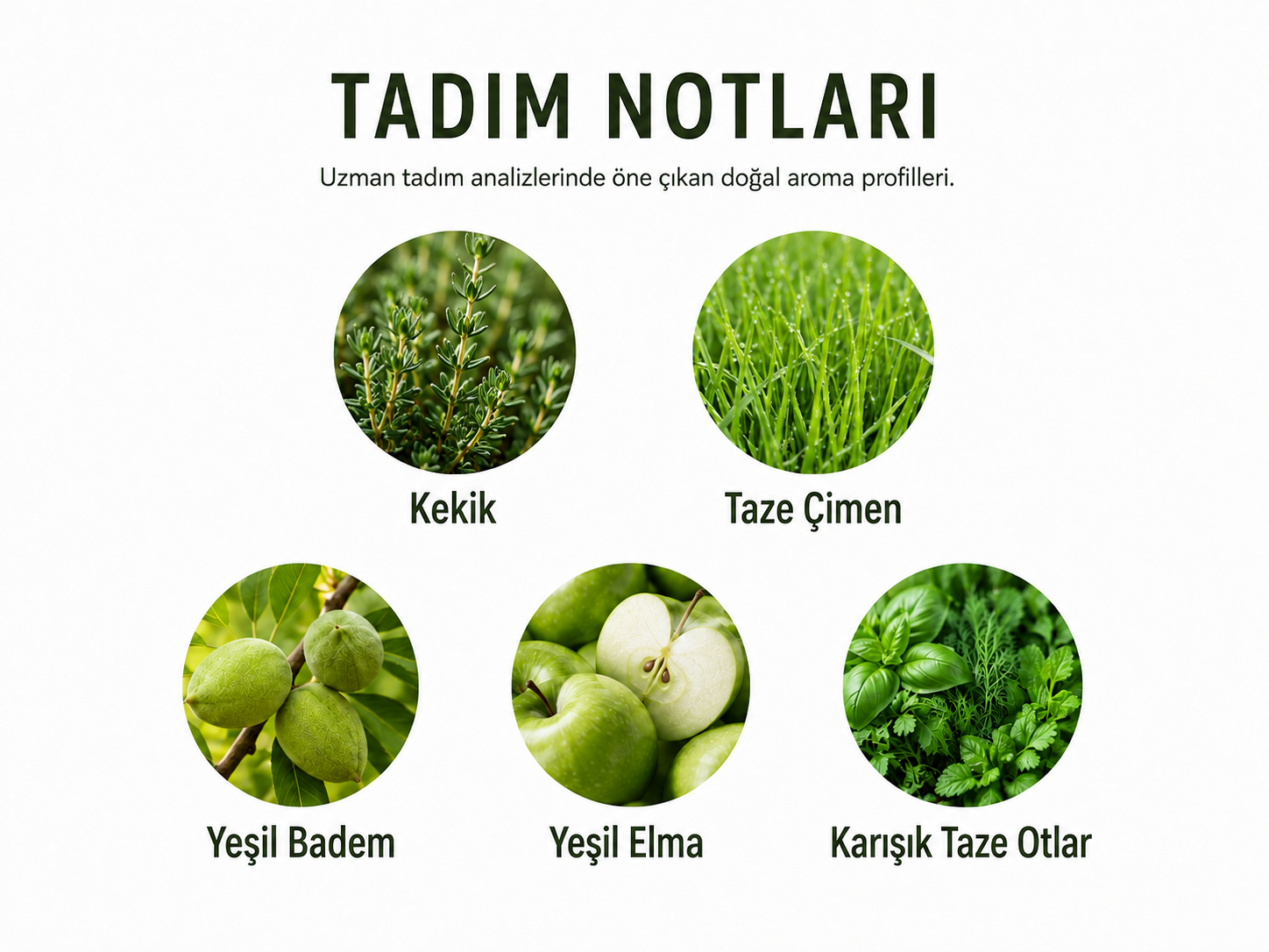 Kekik Çeşnili Zeytinyağı 250 ml
