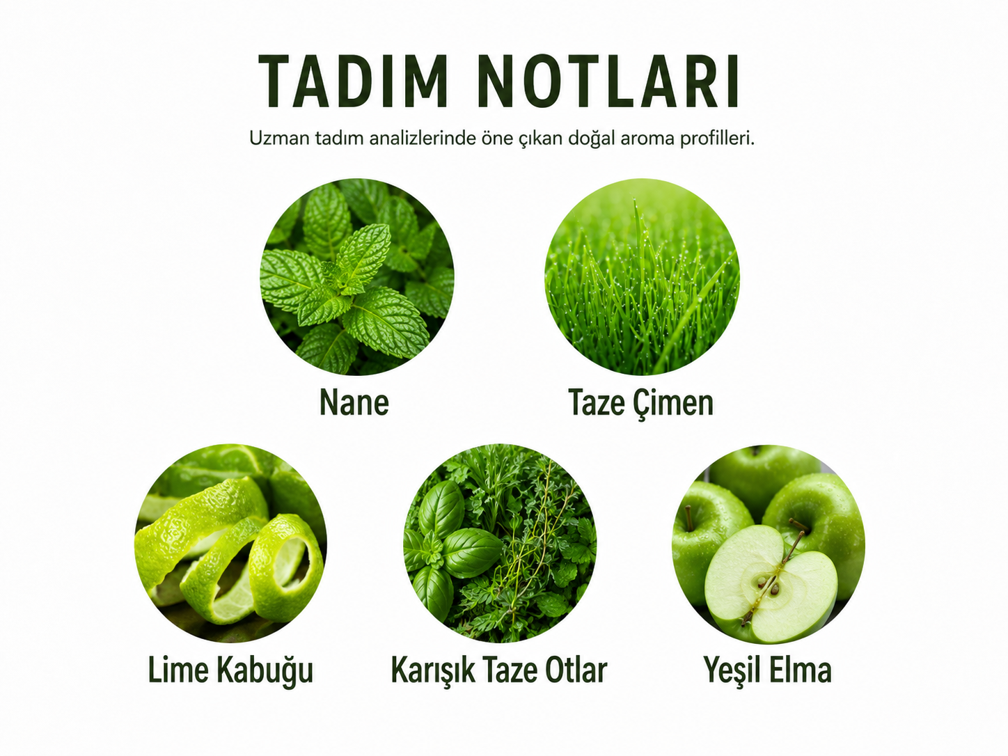 Nane Çeşnili Zeytinyağı 250 ml