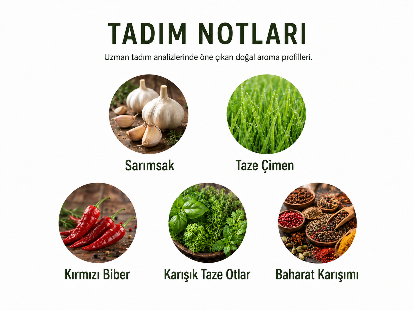 Sarımsak Çeşnili Zeytinyağı 250 ml