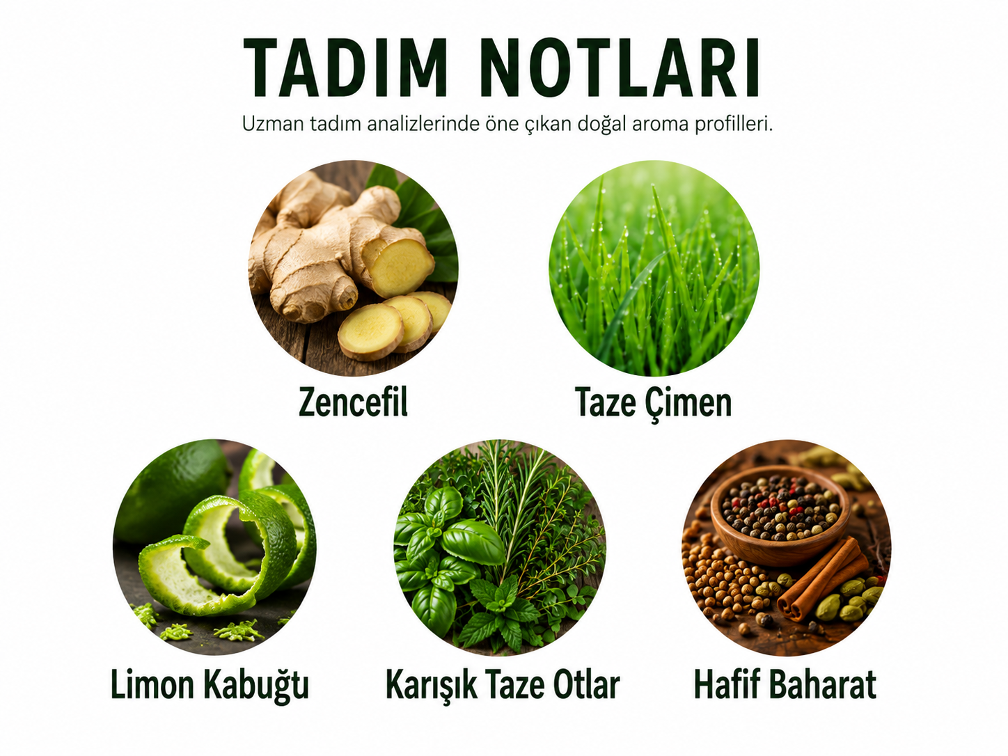 Zencefil Çeşnili Zeytinyağı 250 ml